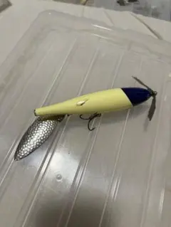 新品　痴虫　チムシ　プラカブメス　ヒメギフシャッド　未開封品 予約販売】痴虫/プラカブメス【7月末頃入荷予定】 - HONEYSPOT