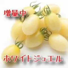 りぃ様 リクエスト 2点 まとめ商品