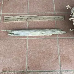 Item thumbnail for item aabd044b-e1a6-4152-a001-5dda63b32261