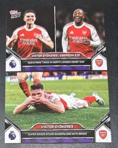 Item thumbnail for item 91a401a0-bc01-4408-8af2-af19cb7f0c39