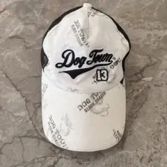 DOGTOWN BLACK DRAGON メッシュキャップ 黒龍 白