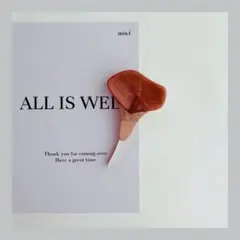 【限定1点】 ブローチ アクリル アクセサリー ヘアクリップ 【B028】