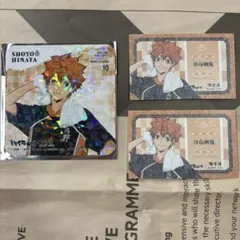 極楽湯 日向翔陽 ホロコースター 和紙風カード セット