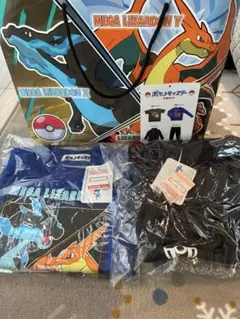 ポケモン　リザードン　ロンT、ズボンセット