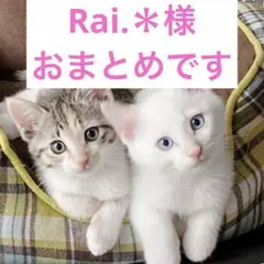 Rai.＊ しばらくお休みです✩*.゜様 リクエスト 2点 まとめ商品