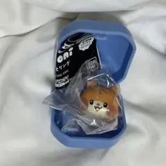 ぷくっとリング　zeroni ソンハンビン　ビニニ