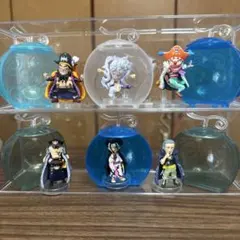 ワンピの実　ニカ　黒ひげ　など　セット