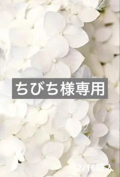 ちびち様 リクエスト 2点 まとめ商品 2060円