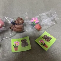 Item thumbnail for item f16dcb4b-c134-4631-a786-14941171e336