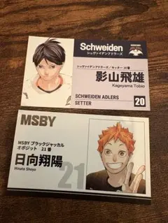 ハイキュー‼︎ 日向&影山セット