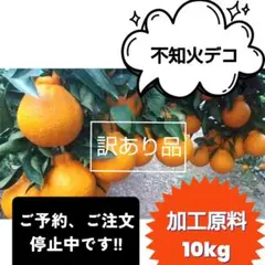 【ꕤ615】不知火デコ【訳あり品☆加工原料】10kg 熊本みかん
