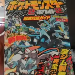 ポケットモンスターブラック2・ホワイト2最速攻略ガイド
