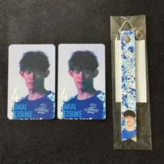 2025年最新】東レアローズの人気アイテム - メルカリ