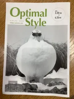 新品　送料無料　Optimal Style SPRING 2025
