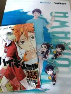 ハイキュー　映画の冊子とファイルなど