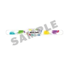 WhiteTails 武道館 LEDライト