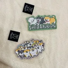 Item thumbnail for item 64c0ac93-5000-4e52-8e71-9001534b48c2