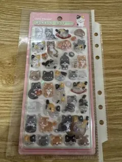 BONBON DROP 和柄 猫シールセット