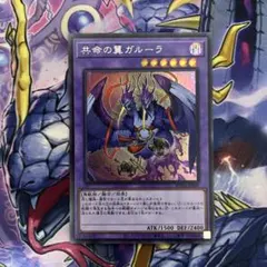 遊戯王 エルシャドールウェンディゴ シークレットレア1枚 - メルカリ