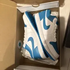 NIKE Air jordan 1 low BLUE 27.5cm