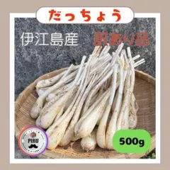 [번역 상품] 이에지마 샬롯 500g