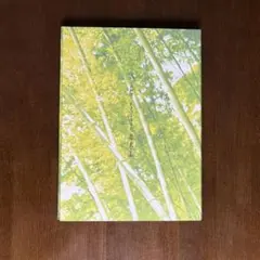 Item thumbnail for item 16e76389-8111-4af5-9afe-5828d413bed1