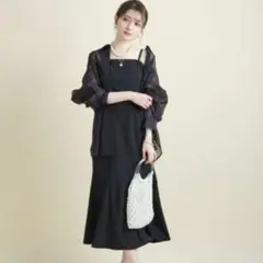 本日限定価格！アプワイザーリッシェ シアーシャツ