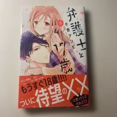 弁護士と17歳