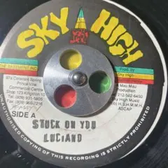 3489 レゲエ レコード 7インチ cover LUCIANO