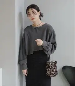 ピグメント