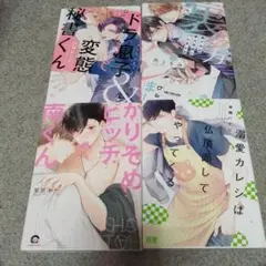 ＢＬ４冊セット　かりそめビッチ南くん