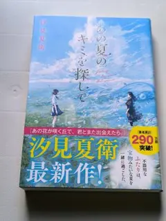 あの夏のキミを探して