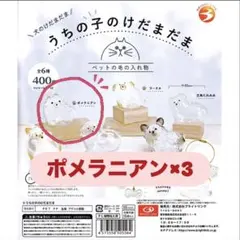 うちの子のけだまだま　ポメラニアン 3個セット