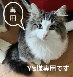 Y's様専用です。＊同梱割引対応