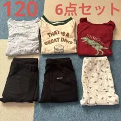 プティマイン プティプラ 長袖 Tシャツ レギンス ズボン 120 男の子