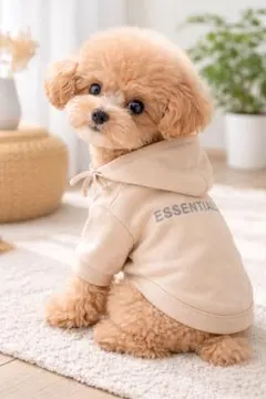 【SNS映え】韓国風 犬服 パーカー クリーム Sサイズ 高見え おしゃれ