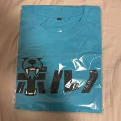 Item thumbnail for item fb763daa-15ca-47de-aa4e-105abc318e62