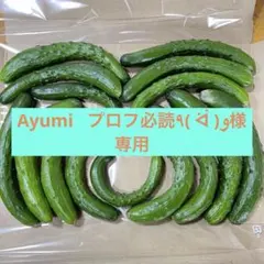 Ayumi プロフ必読٩( ᐛ )و様専用
