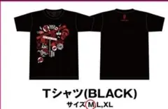 新品未使用　Acid Black Cherry Tシャツ　ブラック　Mサイズ