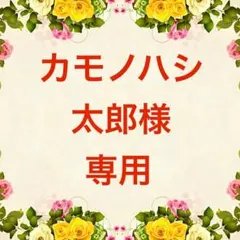 カモノハシ太郎様 リクエスト 10点 まとめ商品