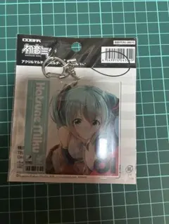 初音ミク アクリルマルチキーホルダー ぺんたごん Ver.
