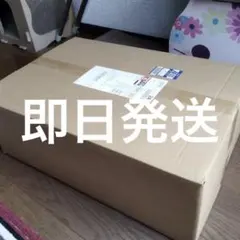 MG パーフェクトジオング 即日発送のサムネイル