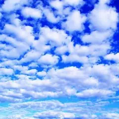 Riri様*専用ページ