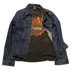 90s ハーレーダビッドソン フレイム ビンテージ Tシャツ ファイヤーUSA製