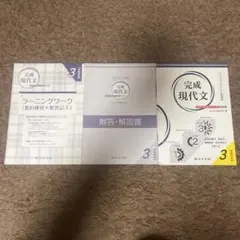 完璧現代文 3 セット