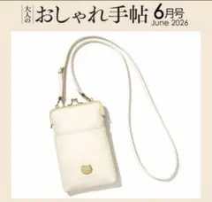時間限定。値引きしました❕ 大人のおしゃれ手帖６月号 付録のみ✨即決OK