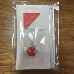 メルカリ　目じるし　マーカー