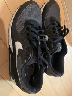 Nike Air Max ブラック/グレー US 10