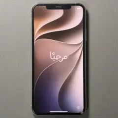 iPhone 11 Pro Max 512GB SIMフリー 動作確認済