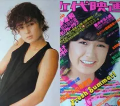 齊藤京子 恋愛裁判 フランス版 大判ポスター 120X160cm 折りたたみ発送 齊藤京子 恋愛裁判 フランス版 大判ポスター 120X160cm 折りたたみ発送